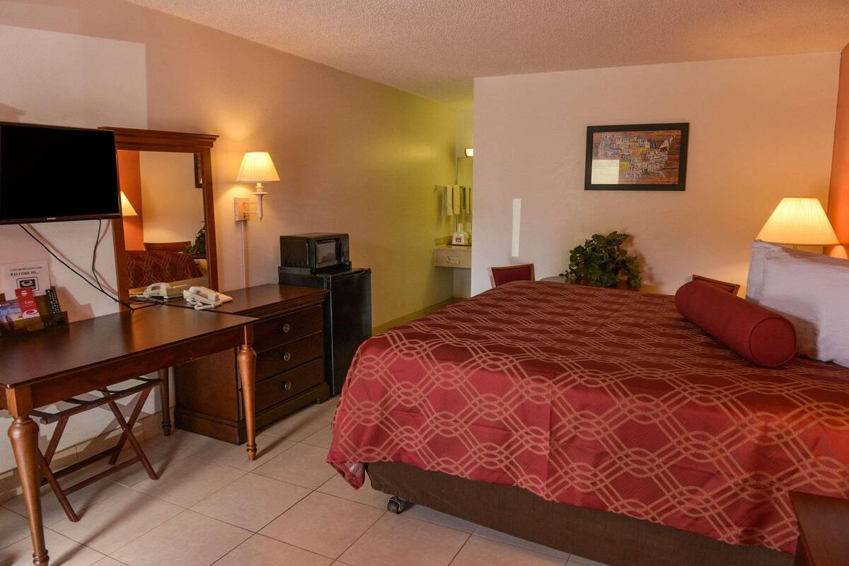 A hotel room with a bed, a desk with a telephone, a television, a mirror, a lamp, and a small plant.