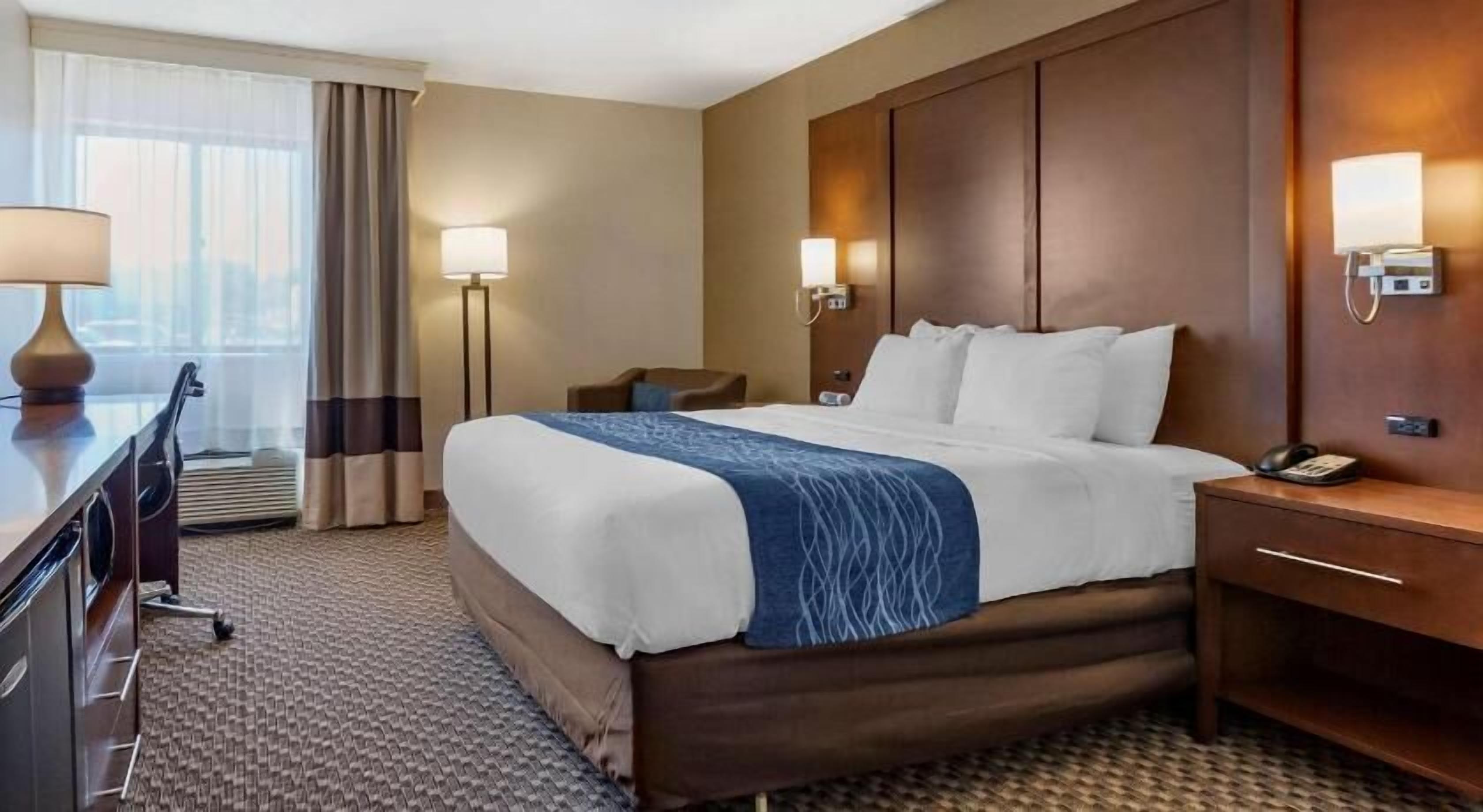Hypo-allergenic bedding, down comforters, individually decorated