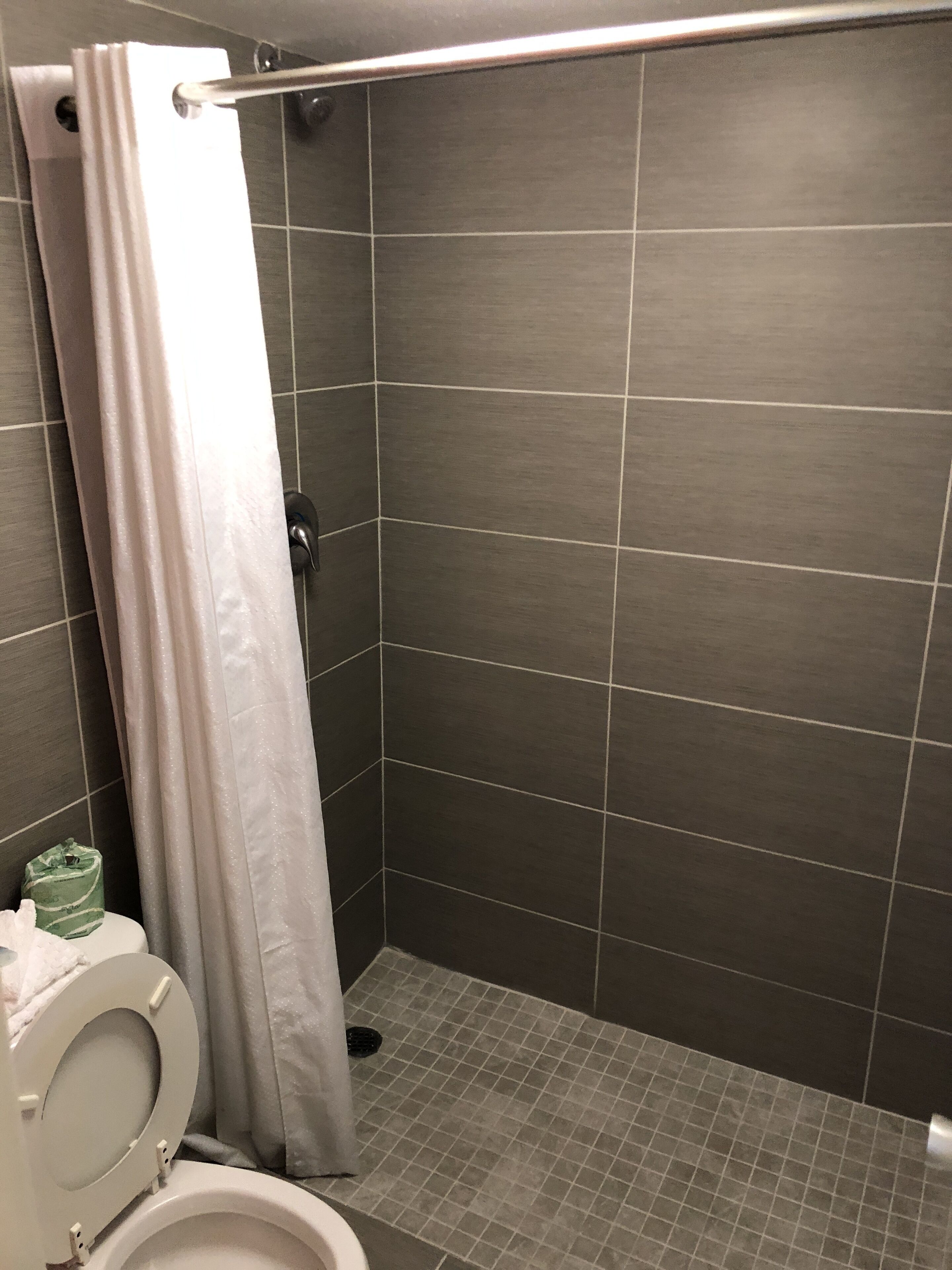 Un espace douche avec des carreaux de couleur foncée, un rideau de douche blanc et des toilettes.