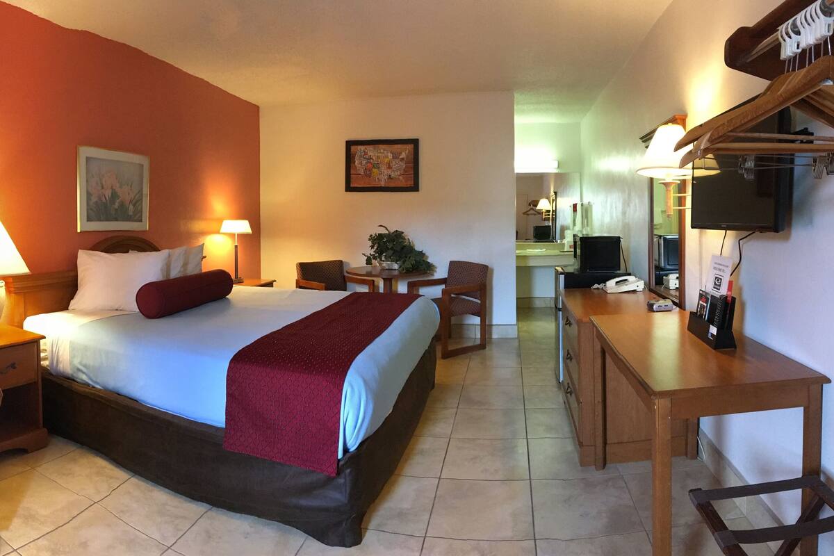 A hotel room with a bed, two bedside lamps, a chair, a desk, a television, and a small table with a plant.