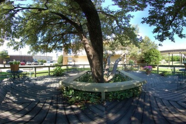 Grill-/Picknickplatz
