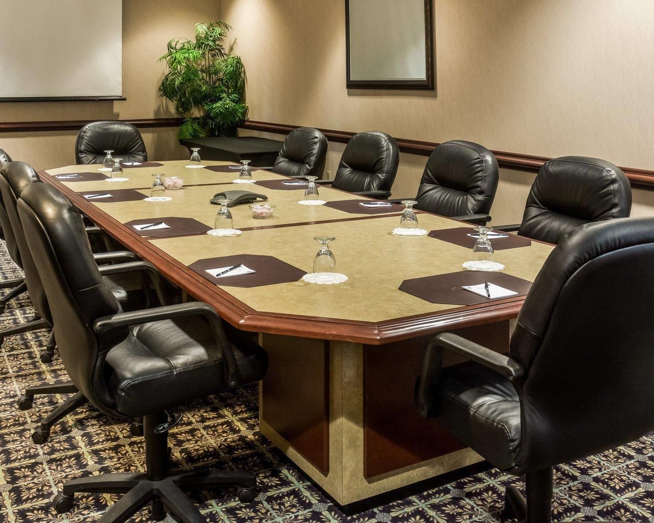 A conference room with a long table, black leather chairs, and a potted plant.