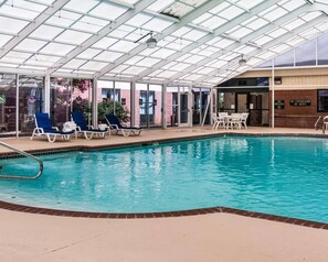 Une piscine intérieure dotée de chaises longues et d’un espace abrité.
