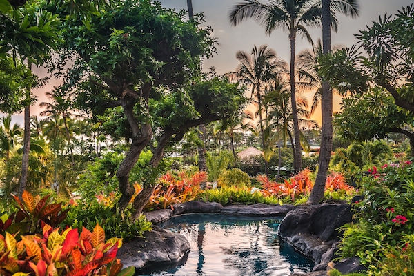 3 outdoor pools, cabanas (surcharge), pool umbrellas