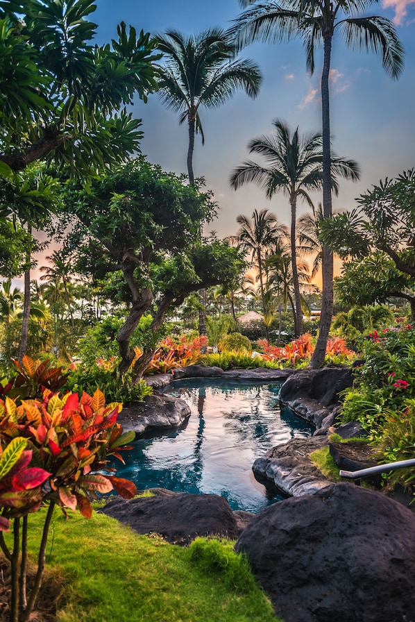 3 outdoor pools, pool cabanas (surcharge), pool umbrellas