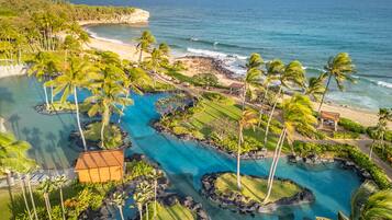Un complexe hôtelier doté d’une piscine, de palmiers et d’une plage.