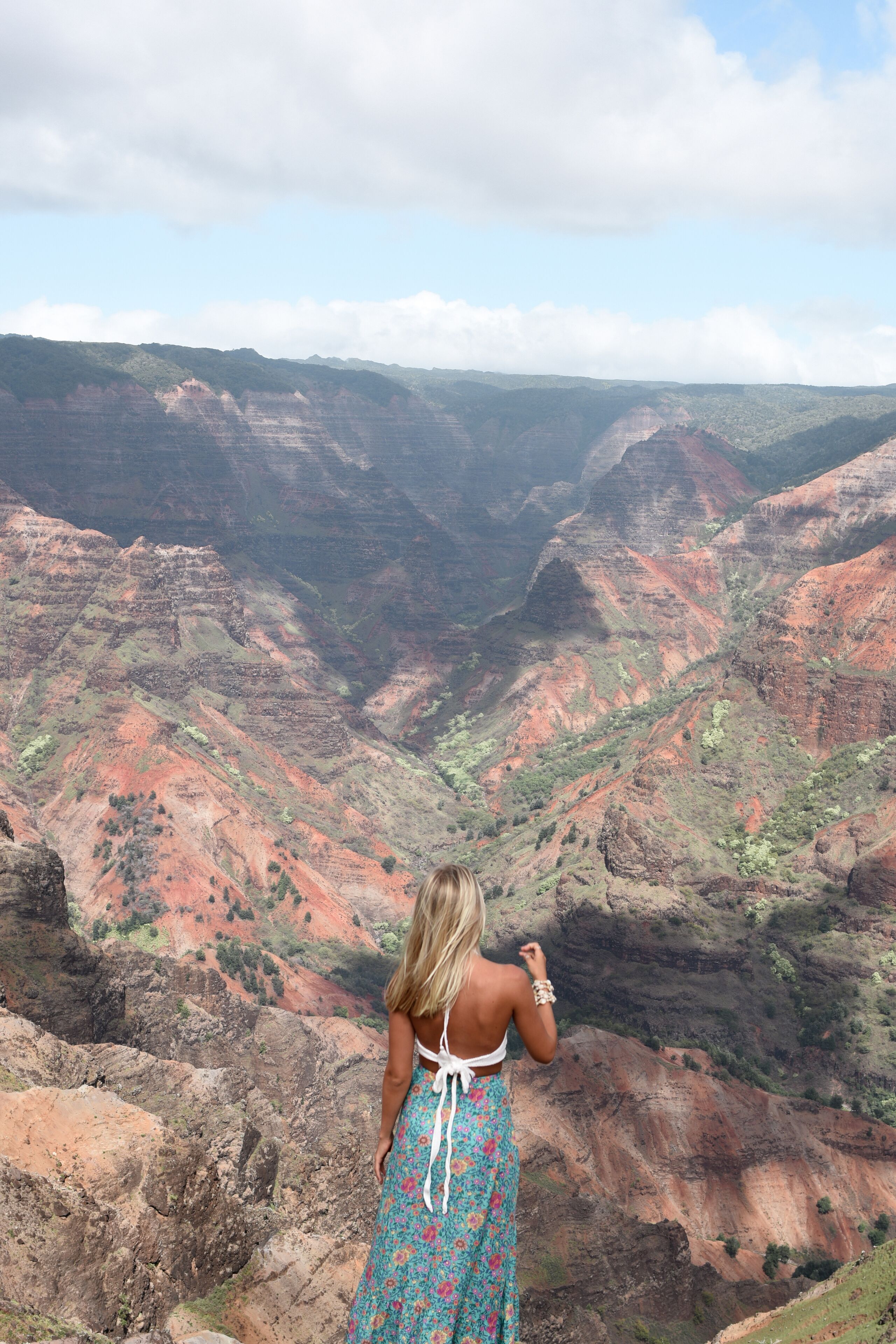 A person standing on a cliff overlooking a canyon with layered rock formations.
