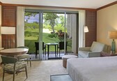 A hotel room with a bed, a desk, a chair, a sofa, and a view of a garden through a sliding door.