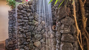 Una cascada con pared de piedra y plantas tropicales.