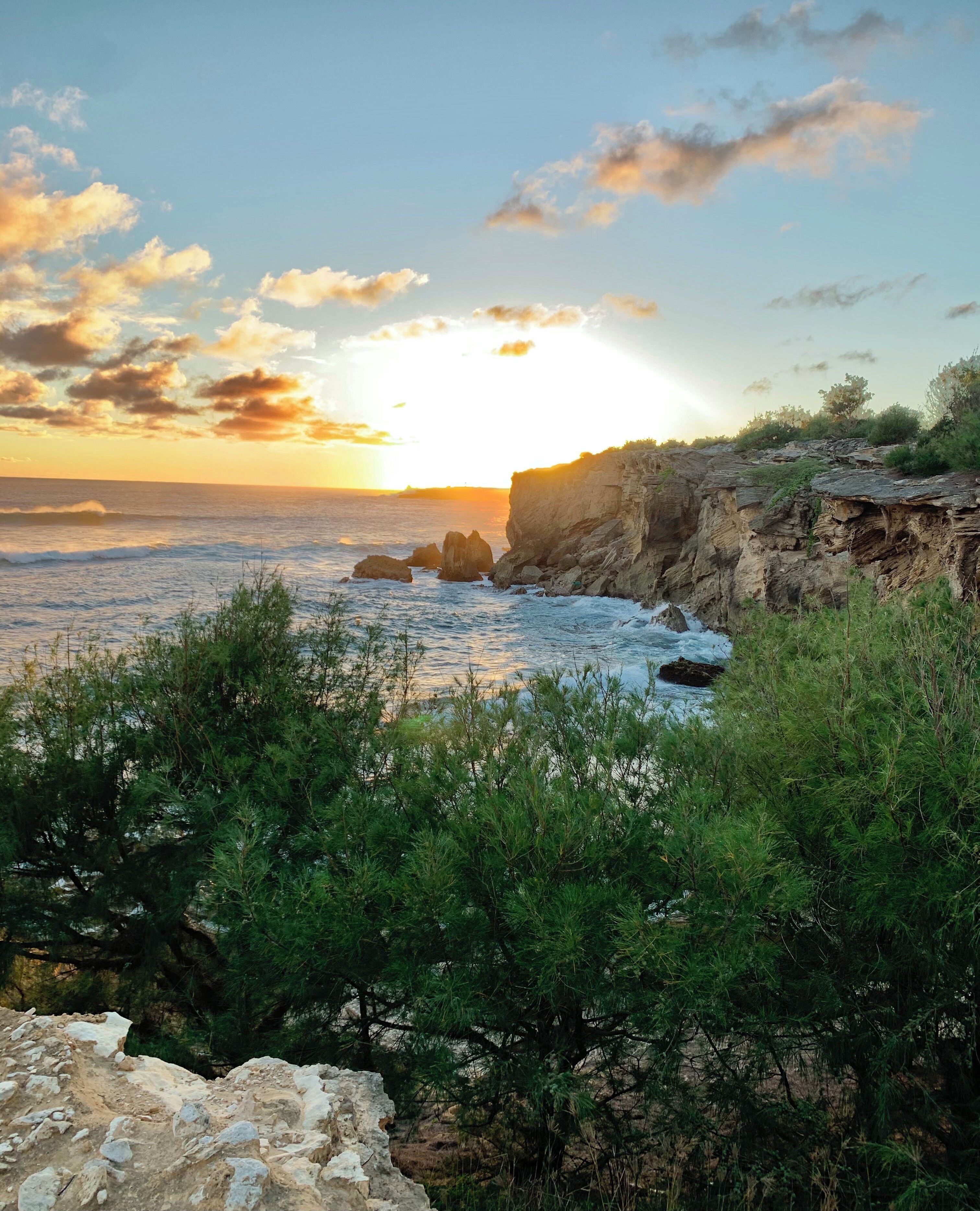 A coastal landscape with rocky cliffs and dense greenery in the foreground.