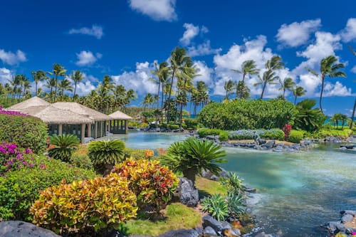 3 outdoor pools, cabanas (surcharge), pool umbrellas