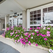 ibis Styles Albany