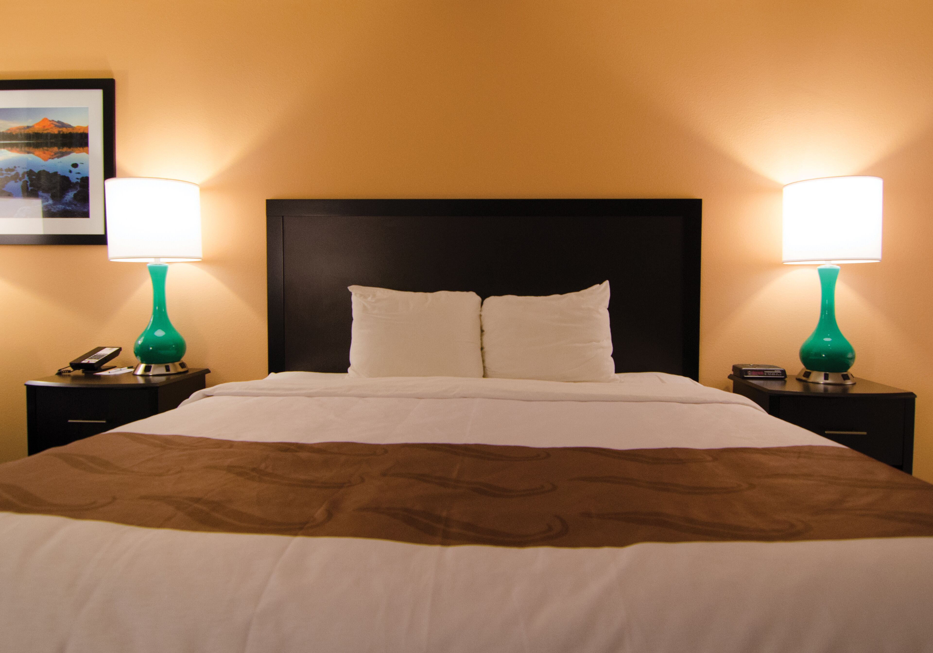 premium room, 1 king bed | premium bedding, desk, iron/ironing board, free wifi