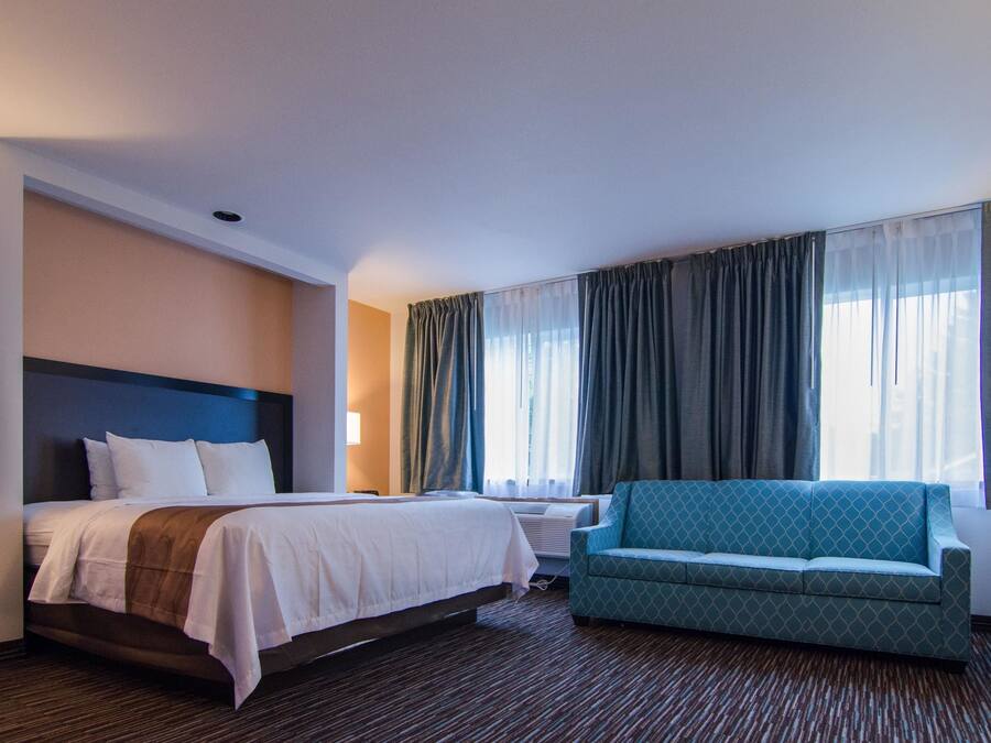 أغطية فراش متميزة ومكتب ومكواة/لوح كي وسرير سفر