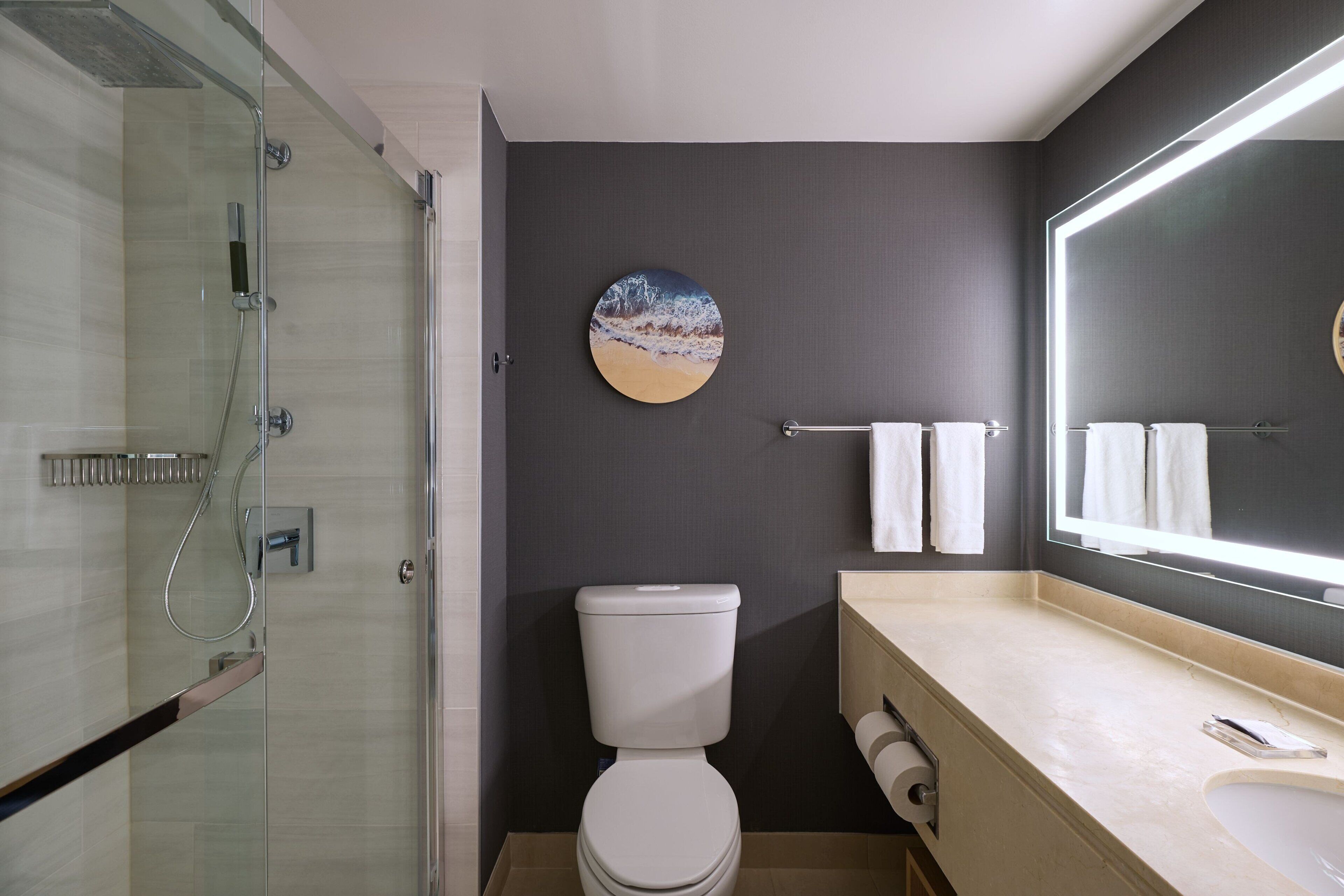 A modern bathroom with a glass-enclosed shower, a toilet, a sink, and a large mirror.