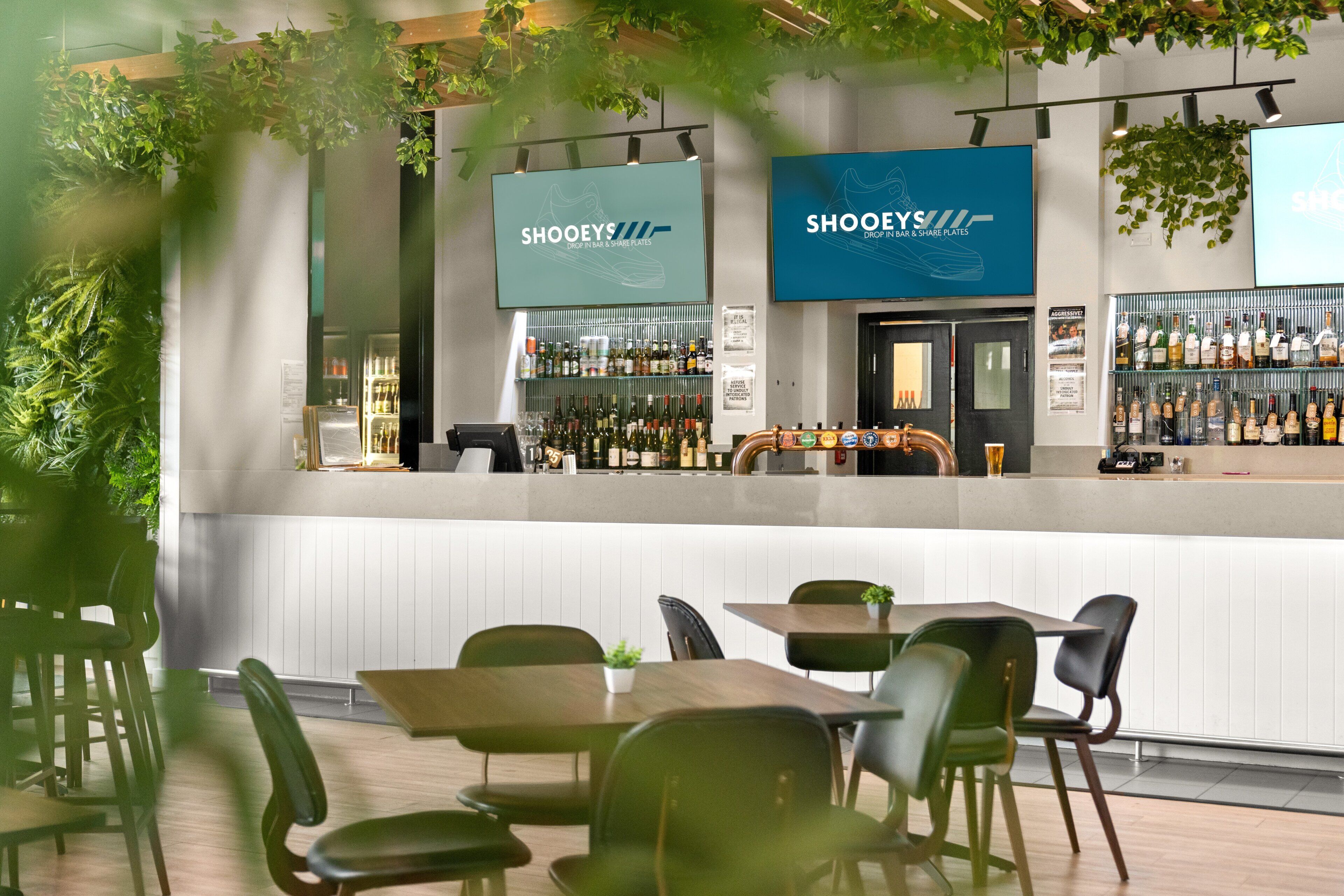 A bar area with a counter, shelves of bottles, and hanging plants.
