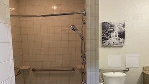 A bathroom with a shower, toilet, and a handrail.