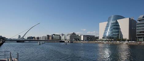 A modern cityscape with a prominent cable-stayed bridge, a distinctive curved glass building, and a calm river.