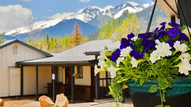 Un pot à fleurs suspendu, orné de fleurs blanches et violettes, est placé devant un bâtiment dont l’arrière-plan est constitué d’une chaîne de montagnes.
