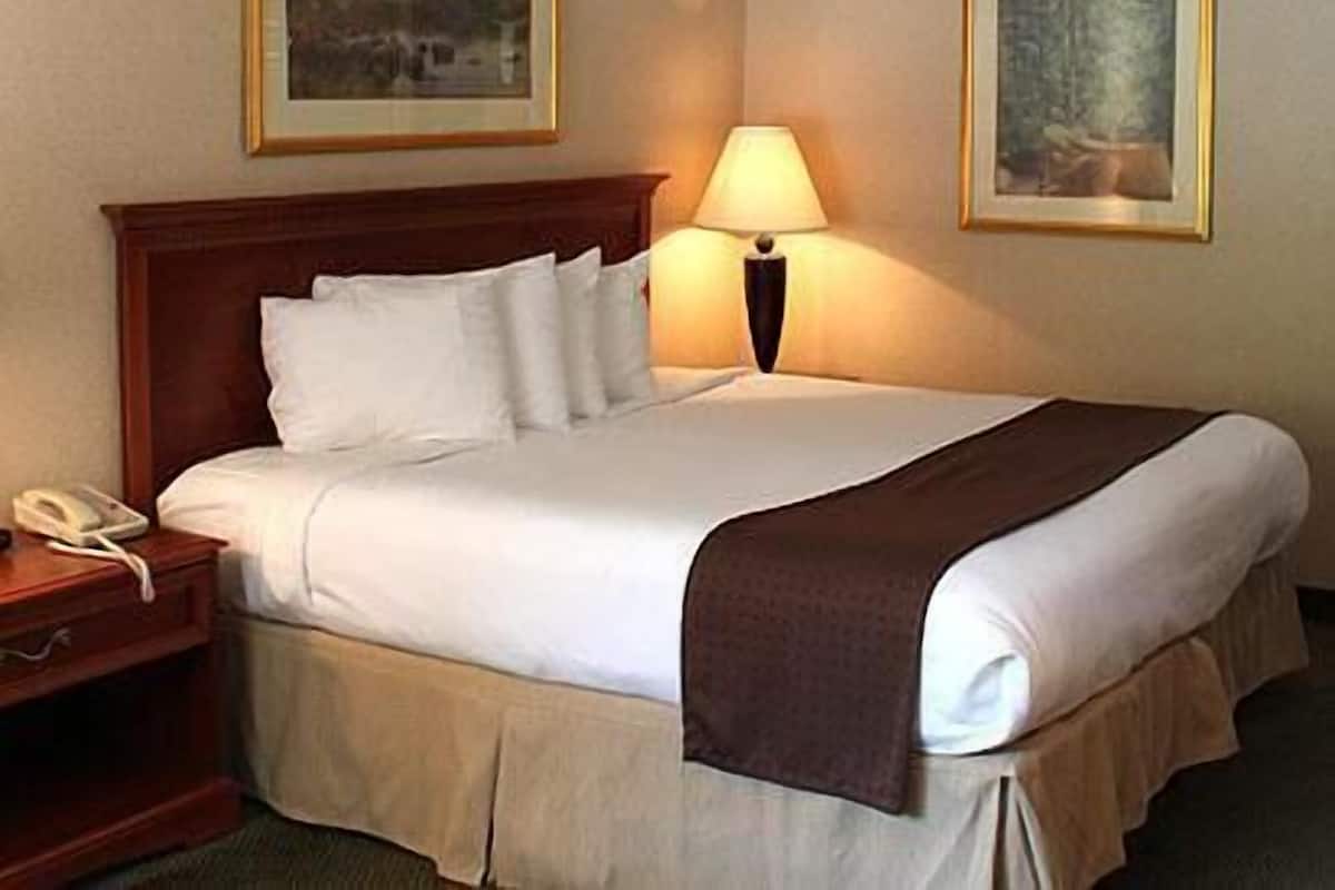 In-room safe, blackout curtains, iron/ironing board, free WiFi