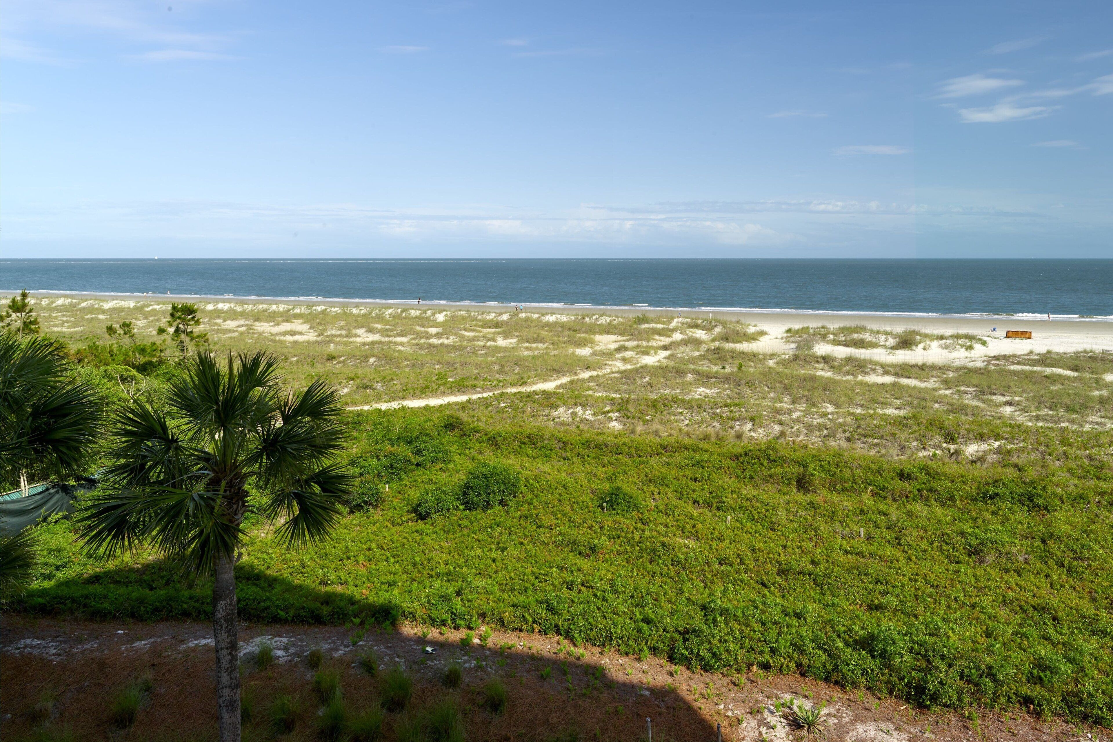Ein Strand mit einer Palme und dichter Vegetation im Vordergrund, der zu einem Sandstrand mit einer Bank führt.