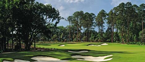 A golf course with sand bunkers, trees, and a clear sky.