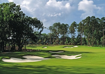Golf at The Westin Hilton Head Island Resort & Spa