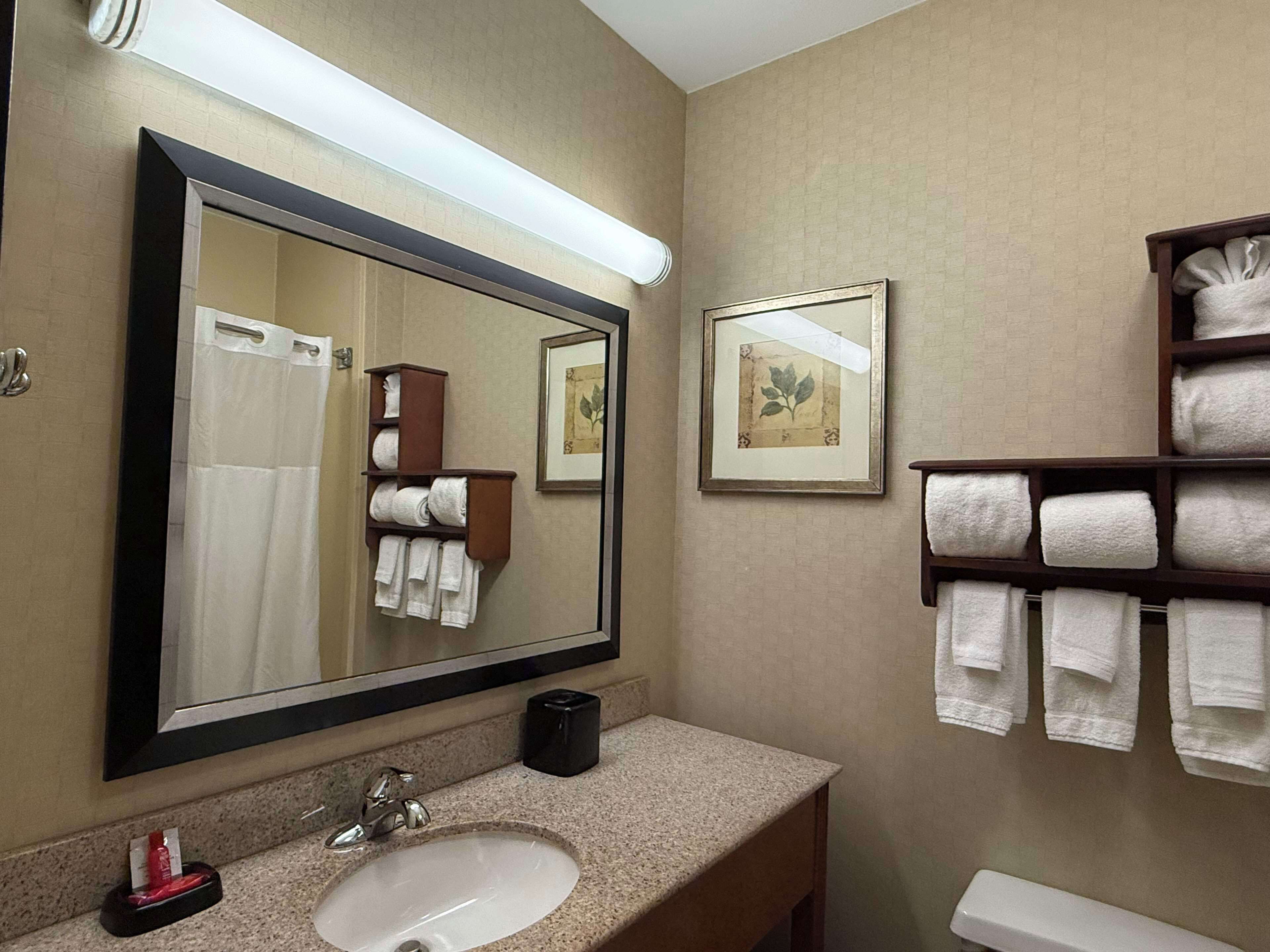 standard room, 2 queen beds, accessible, refrigerator & microwave | bathroom | hair dryer, towels