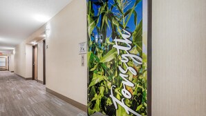 A hallway with a large poster of corn plants and the word 'Mansion' on the wall. - Best Western Forsyth - Decatur (Forsyth)