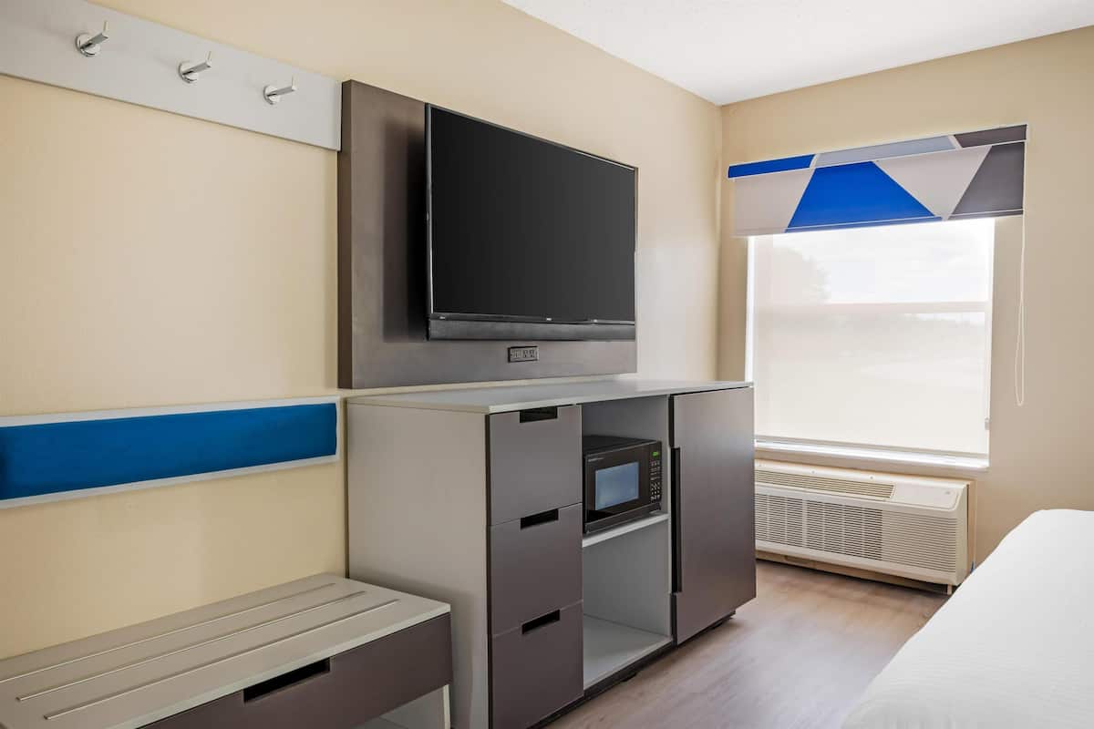 Standard Room, 1 King Bed, Accessible, Refrigerator & Microwave (with Sofabed)