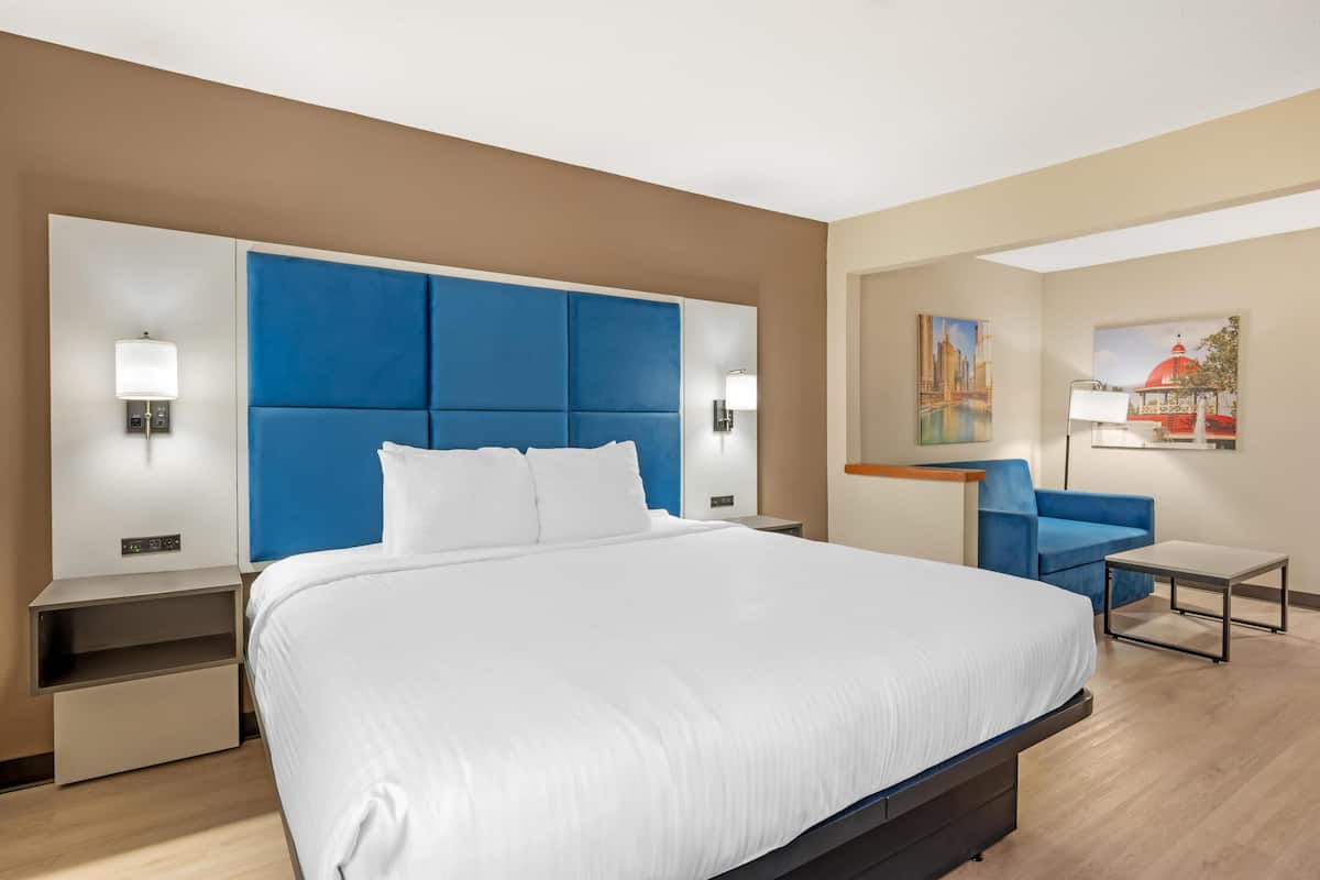 Standard Room, 1 King Bed, Non Smoking, Refrigerator & Microwave (with Sofabed)