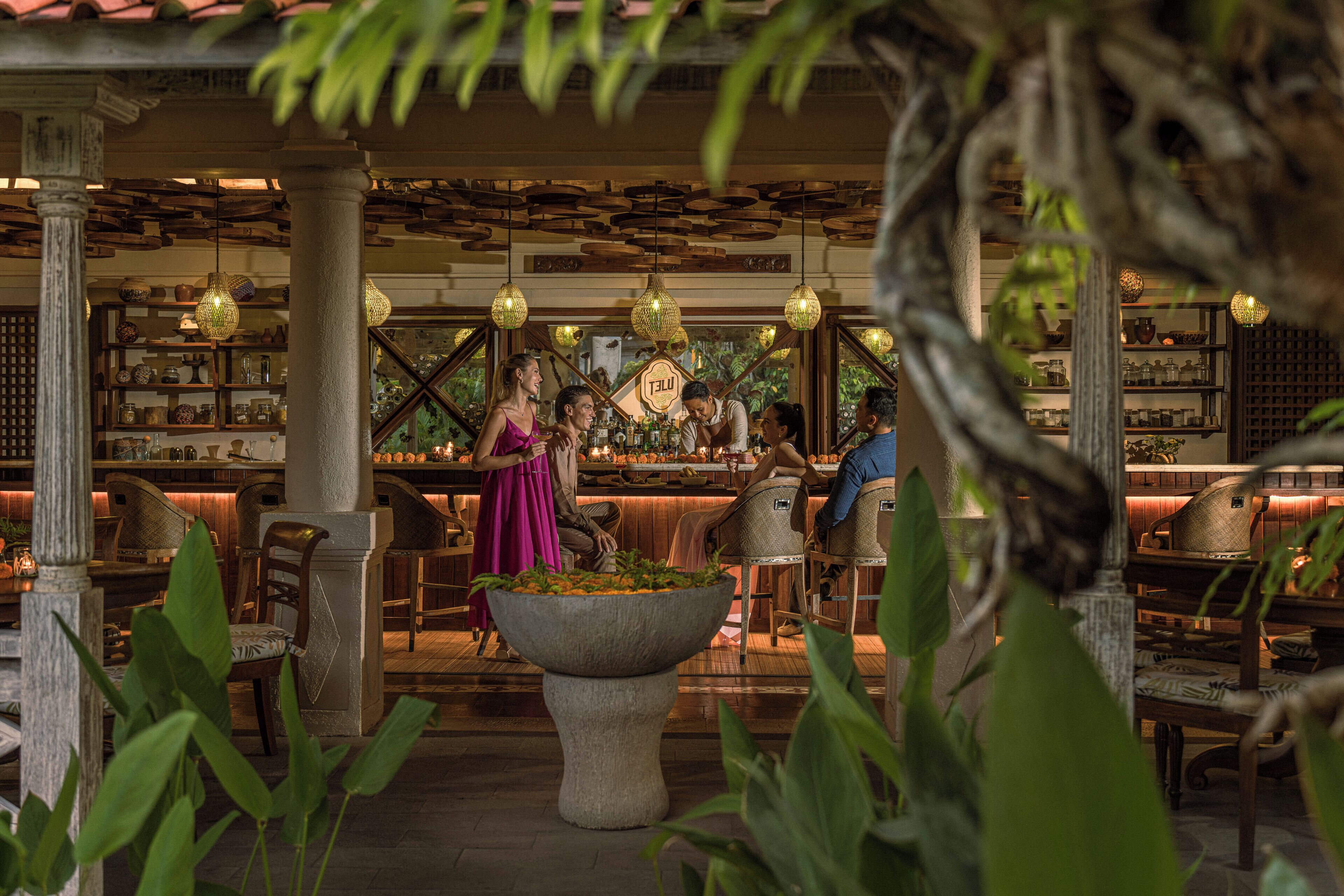 A bar area with seating, a large planter, and hanging lights.