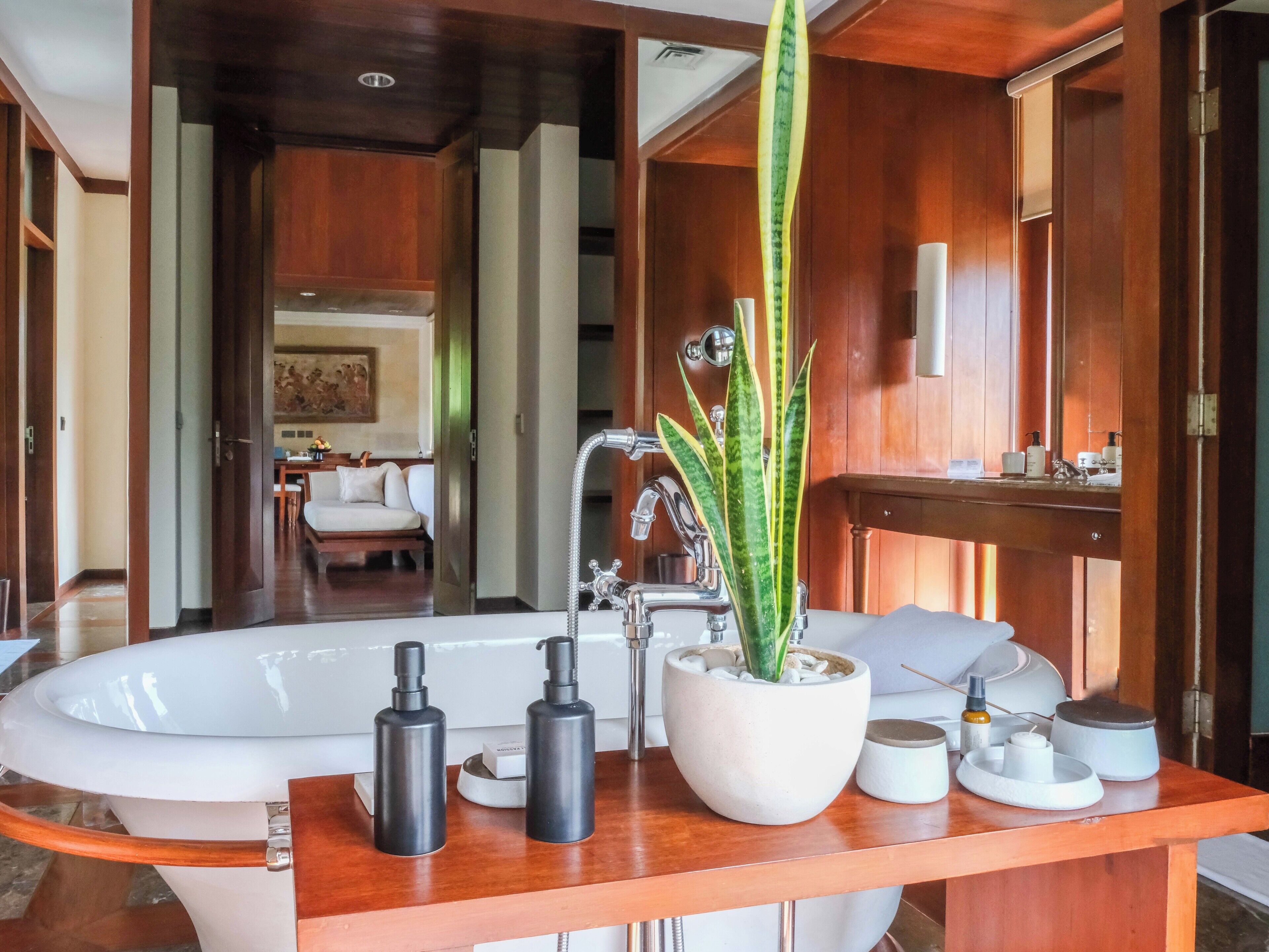 Un baño moderno con una bañera independiente, un tocador de madera con artículos de aseo y una planta en maceta.