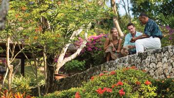 A stone wall with a garden in the background.