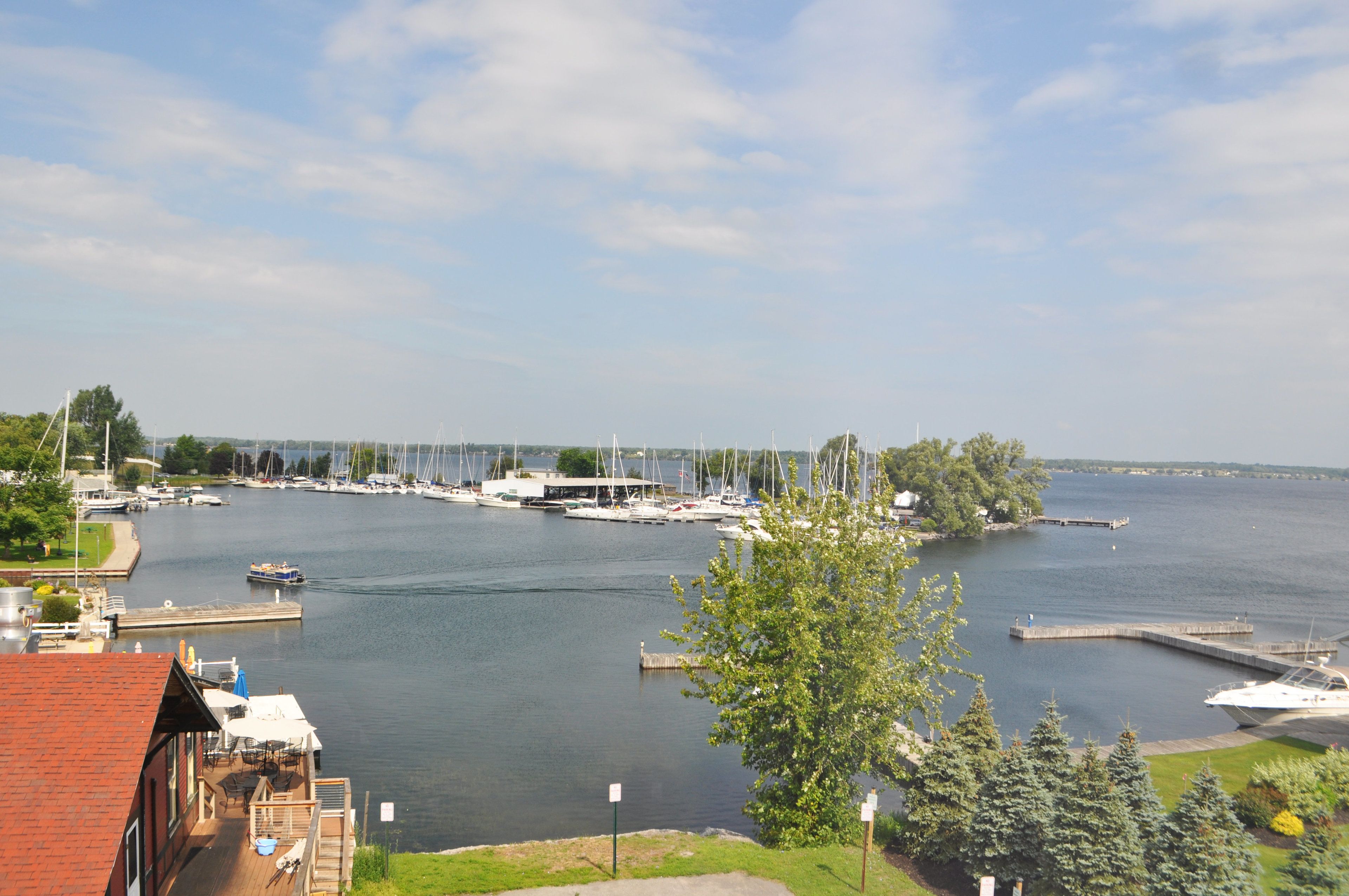 panoramic room, 1 king bed, harbour view | view from room