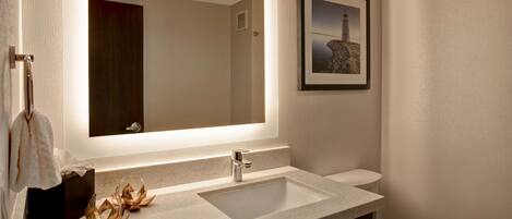 Un baño moderno con un espejo grande, un lavabo y un inodoro.