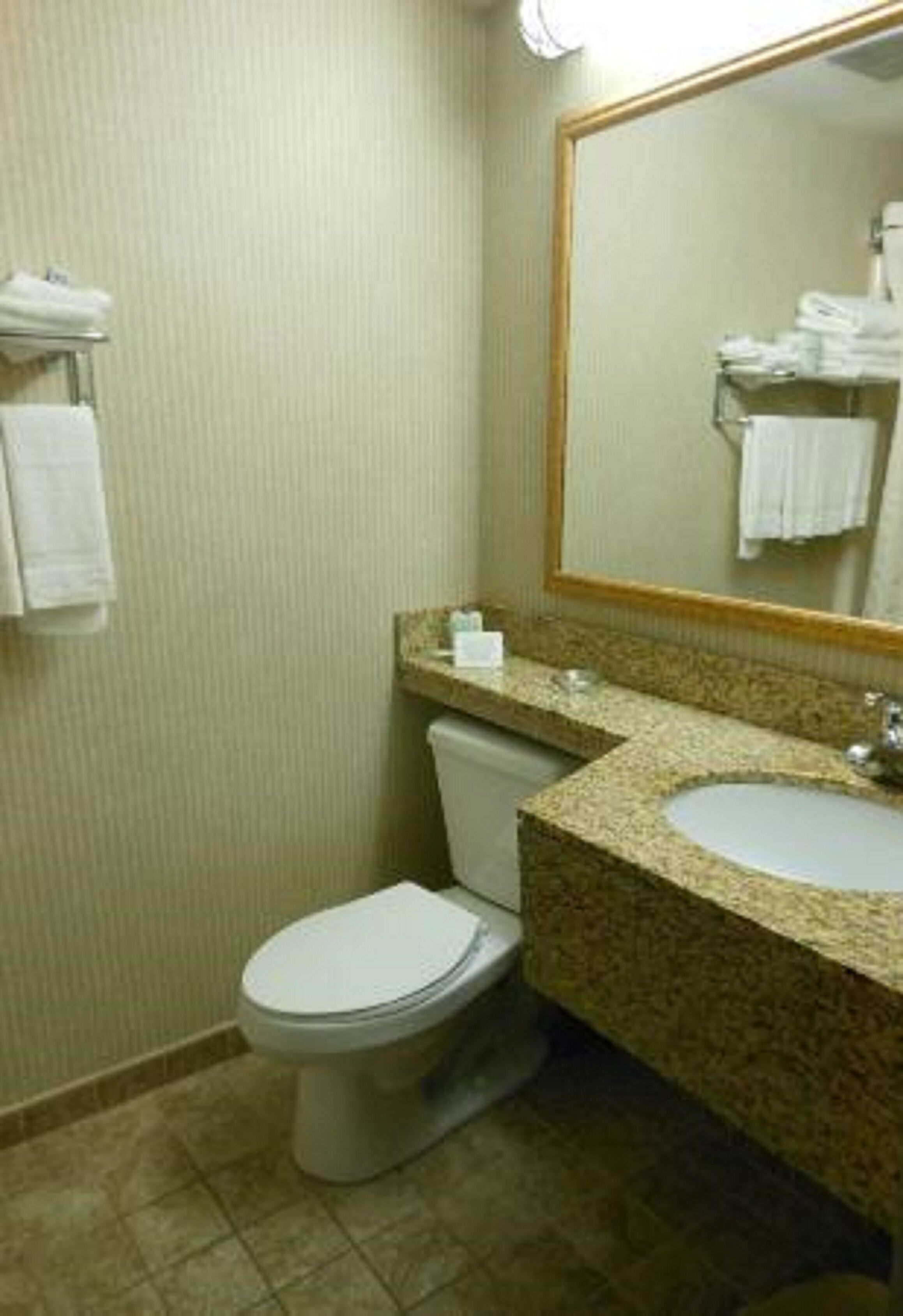 A bathroom with a toilet, sink, and mirror.