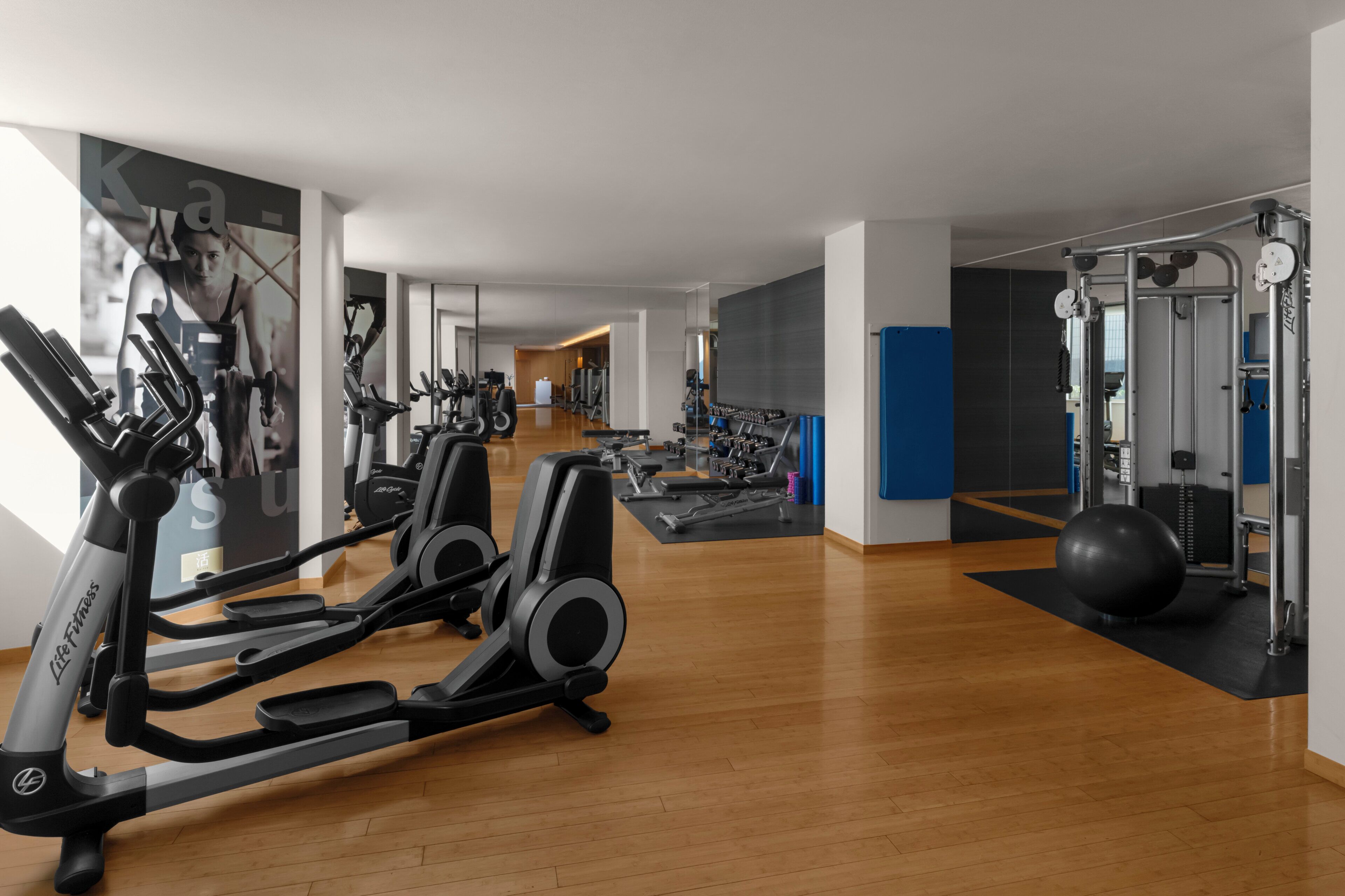 A modern gym with cardio equipment, weight machines, and a large exercise ball.