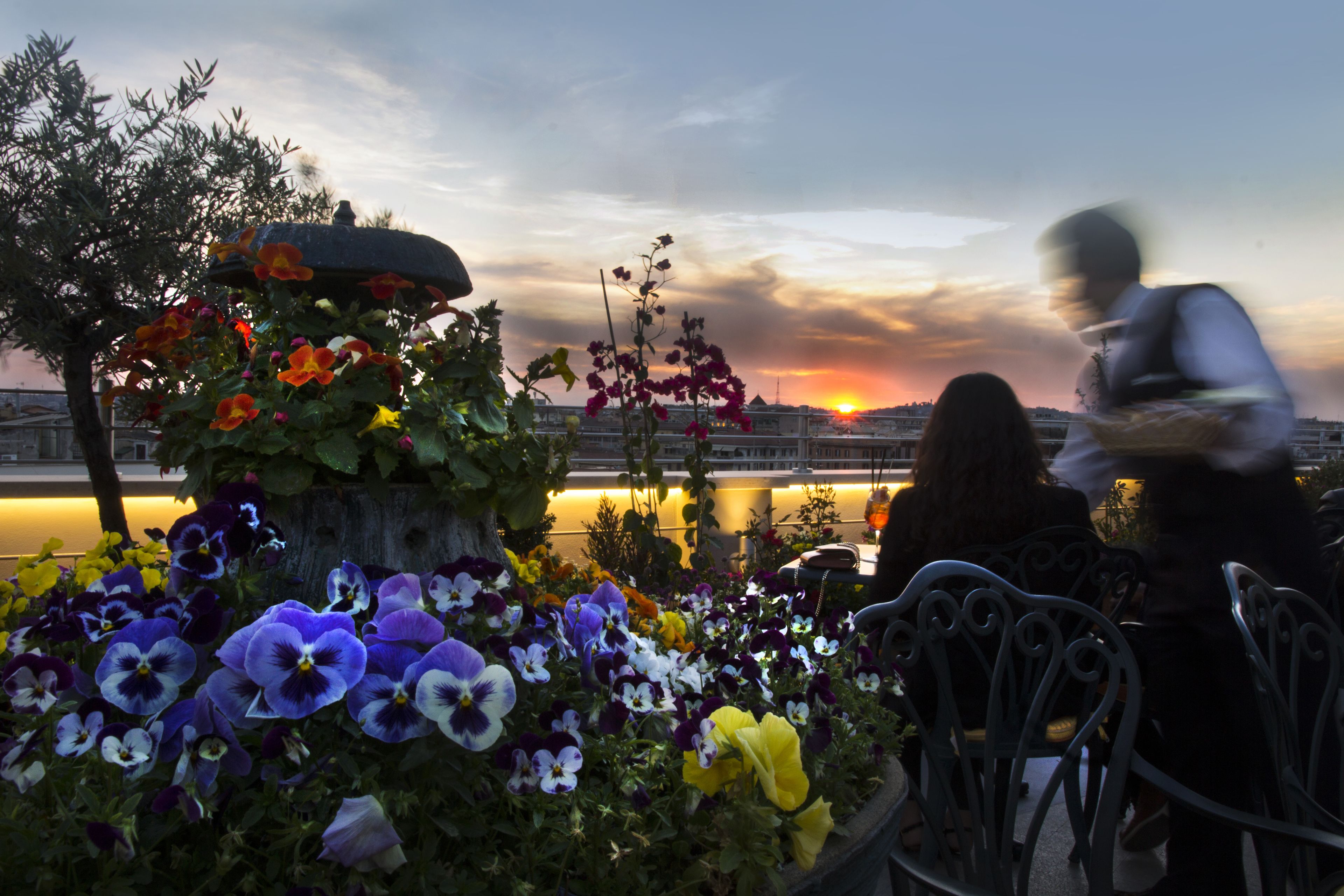 A garden with a variety of flowers and a sunset in the background.