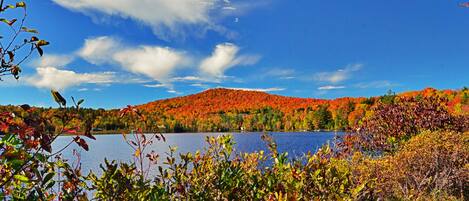 Un lac entouré d’un paysage aux couleurs automnales et surplombé d’un ciel dégagé.