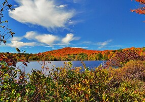Lago