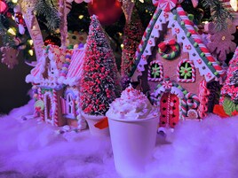 Eine Auslage mit Lebkuchenhäusern in verschiedenen Formen und Verzierungen, darunter ein mit Schnee bedeckter Baum und ein Haus mit Pfefferminzdetails.