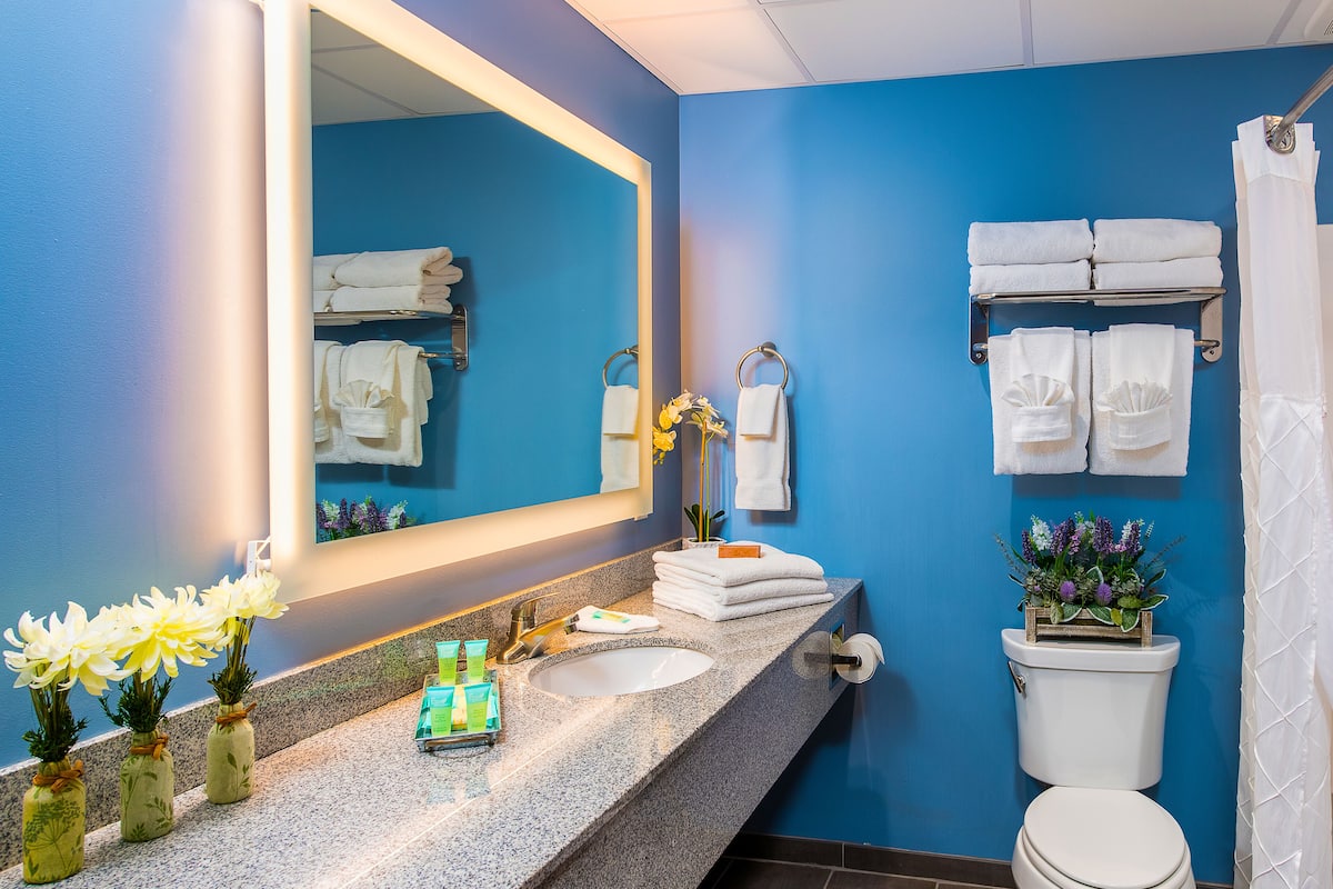 combined shower/bathtub, designer toiletries, hair dryer, towels