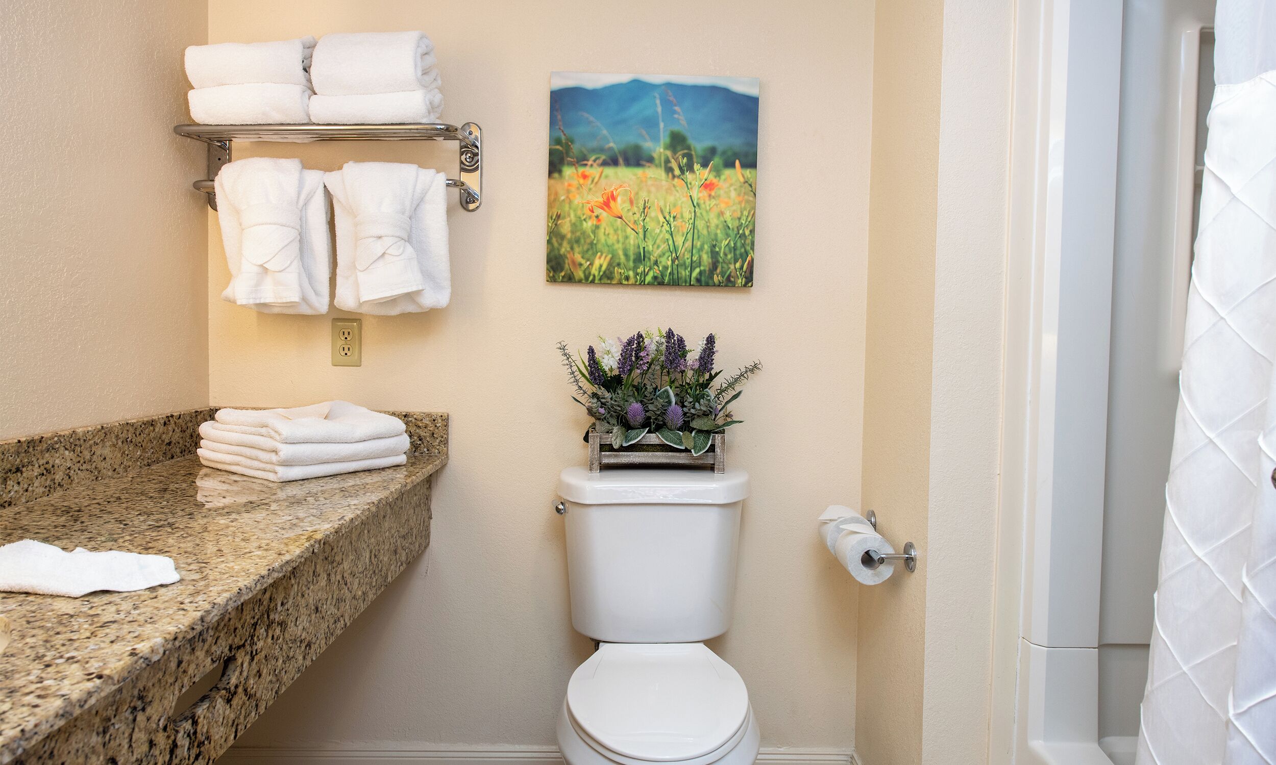 A bathroom with a granite countertop, a toilet, a wall-mounted towel rack, a painting of a field, and a potted plant.
