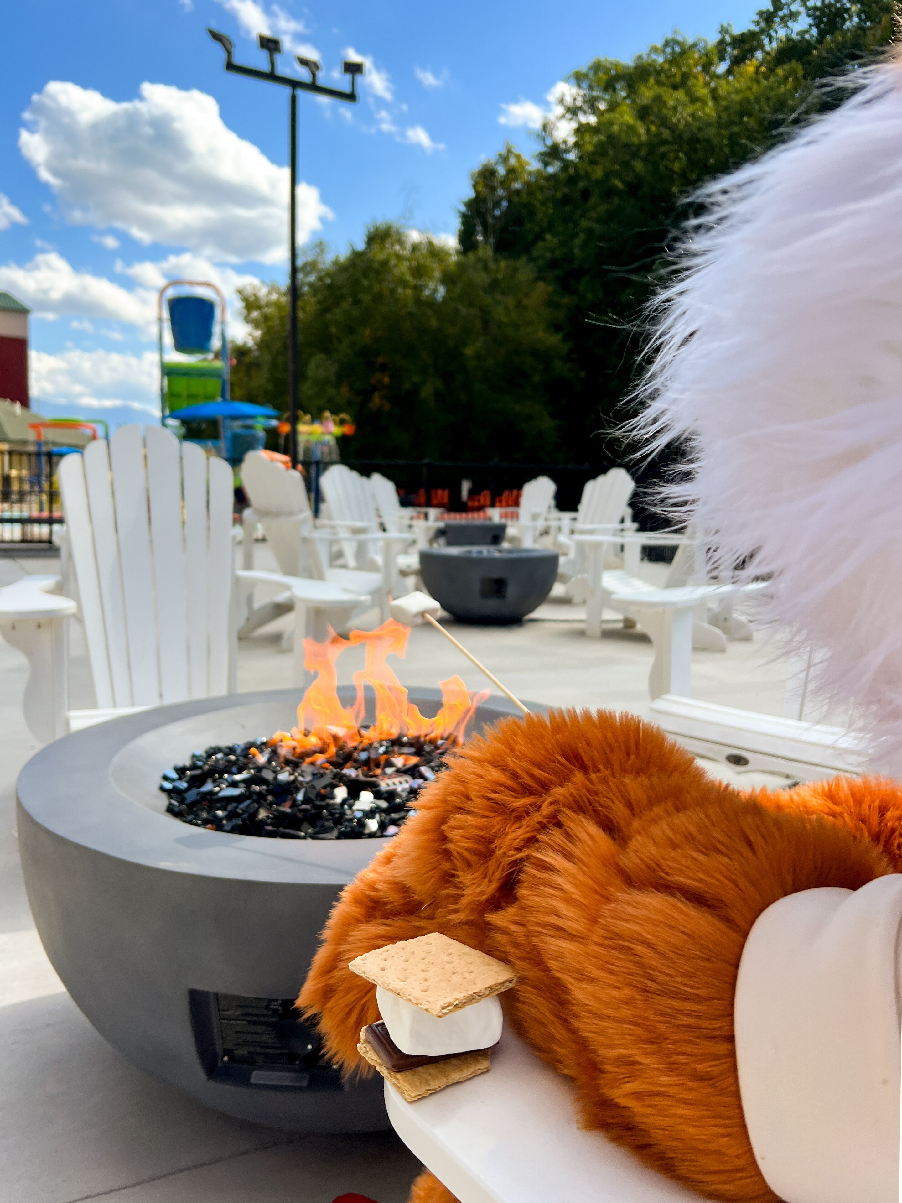 Photo - Country Cascades Waterpark Resort