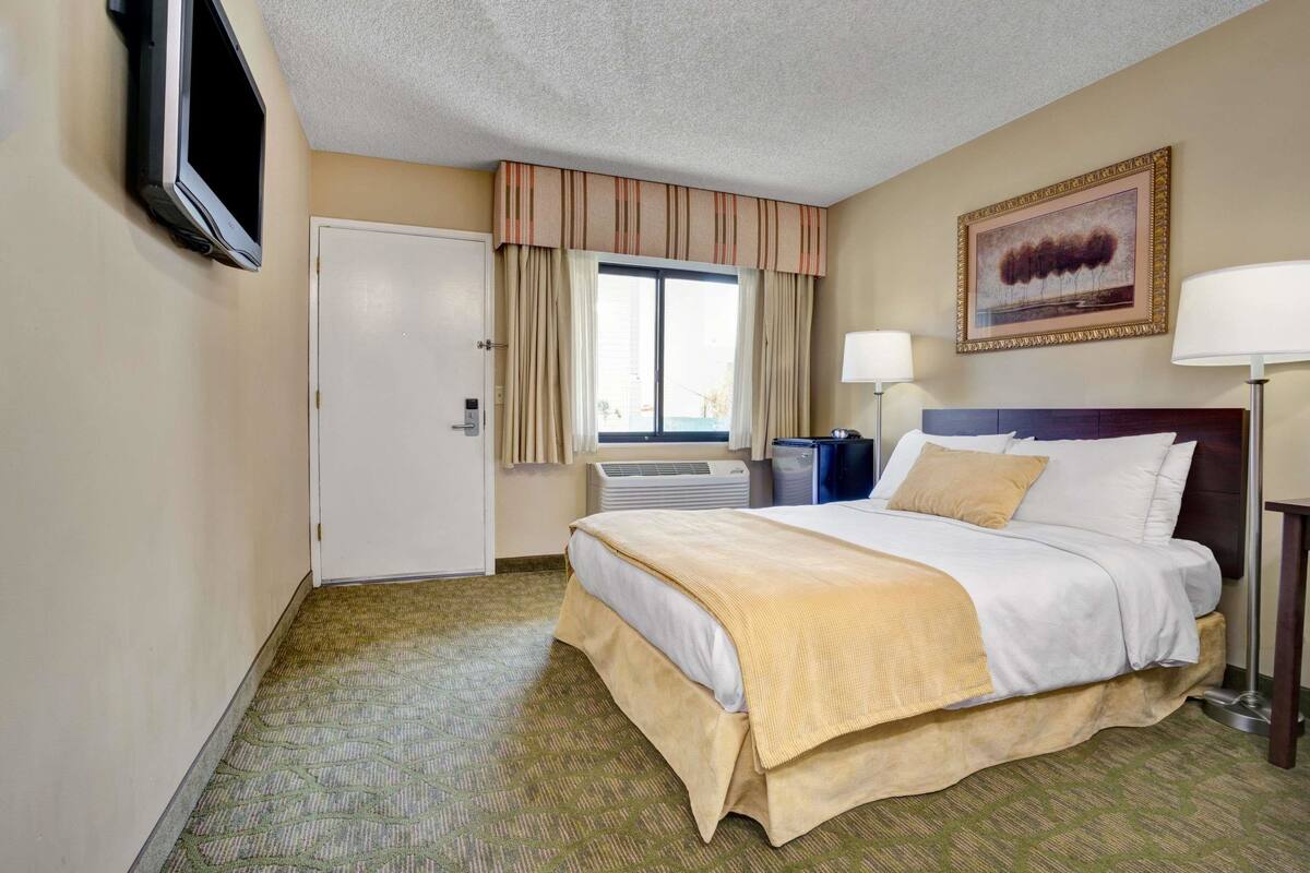 Een hotelkamer met een bed, een aan de muur bevestigde televisie, een raam met gordijnen, een schilderij aan de muur en een lamp naast het bed.