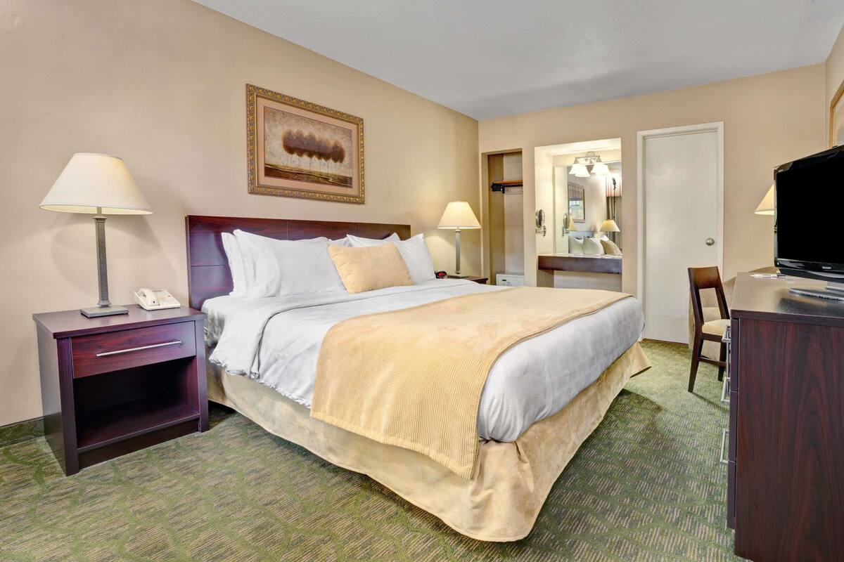 Een hotelkamer met een bed, nachtkastjes, een bureau, een stoel, een televisie en een spiegel.