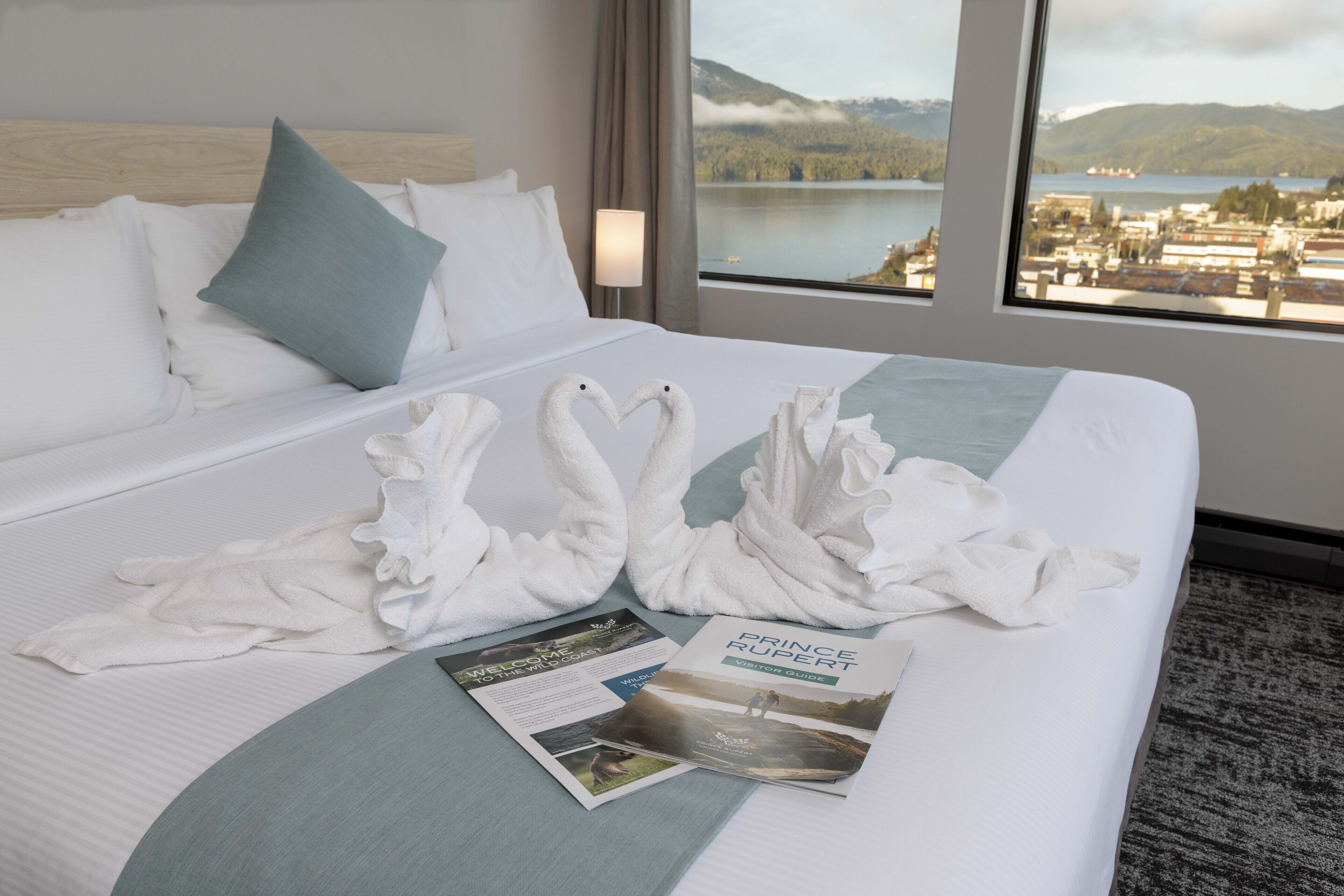 Bureau, rideaux occultants, fer et planche à repasser, Wi-Fi gratuit