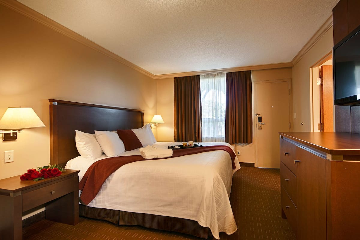 Laptop workspace, blackout drapes, iron/ironing board, free WiFi