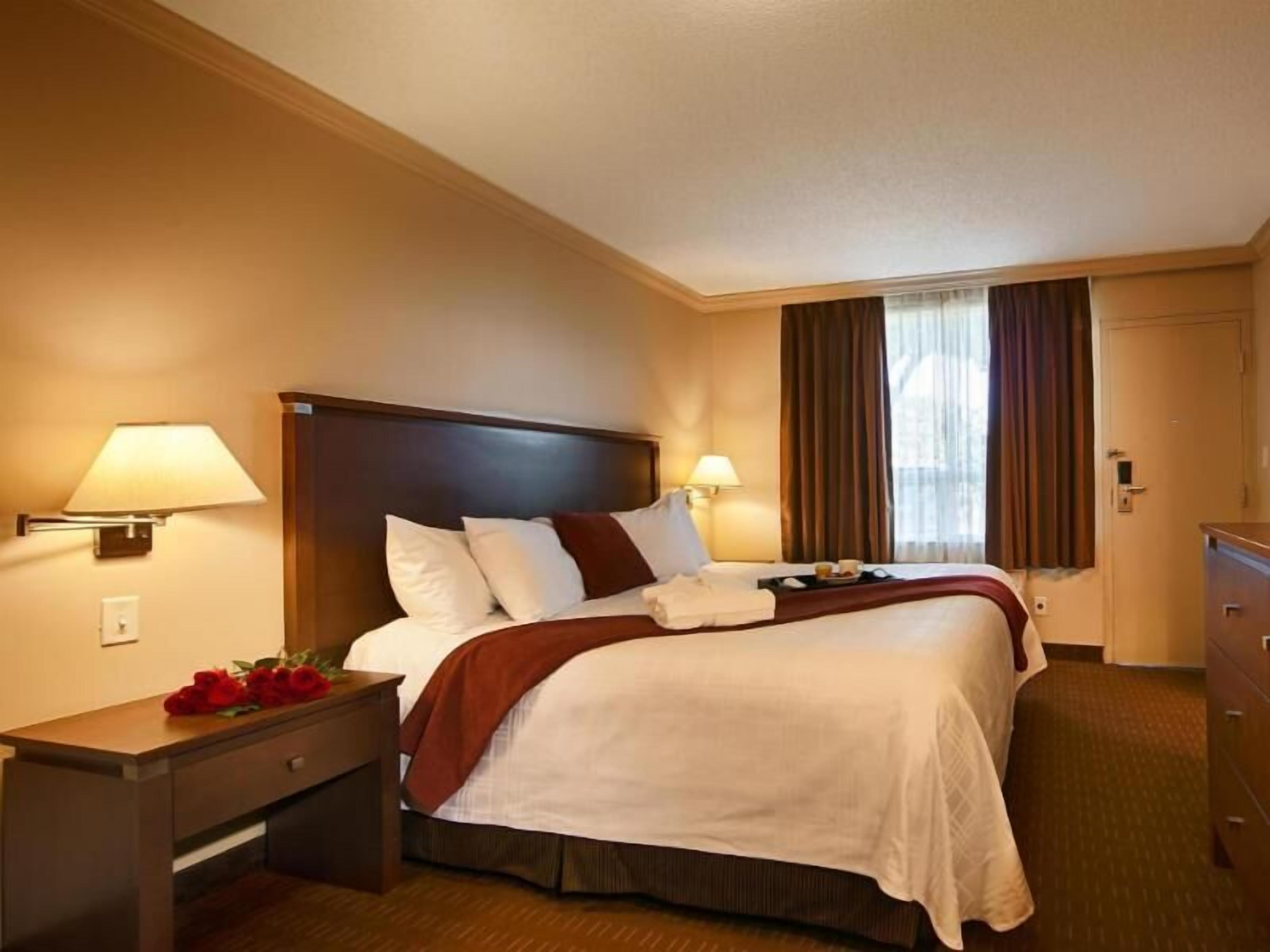 Laptop workspace, blackout drapes, iron/ironing board, free WiFi